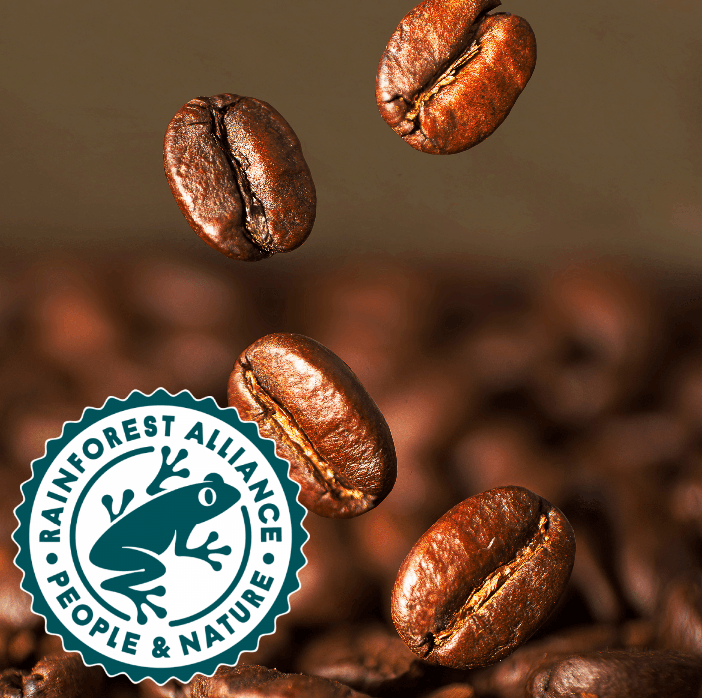 Lavazza Expert Aroma Top Coffee Beans (1kg Bags or Full Case) Rainforest Alliance Certified - Vending Superstore