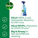 Dettol Power and Pure Advance Bathroom Cleaner Spray 750ml