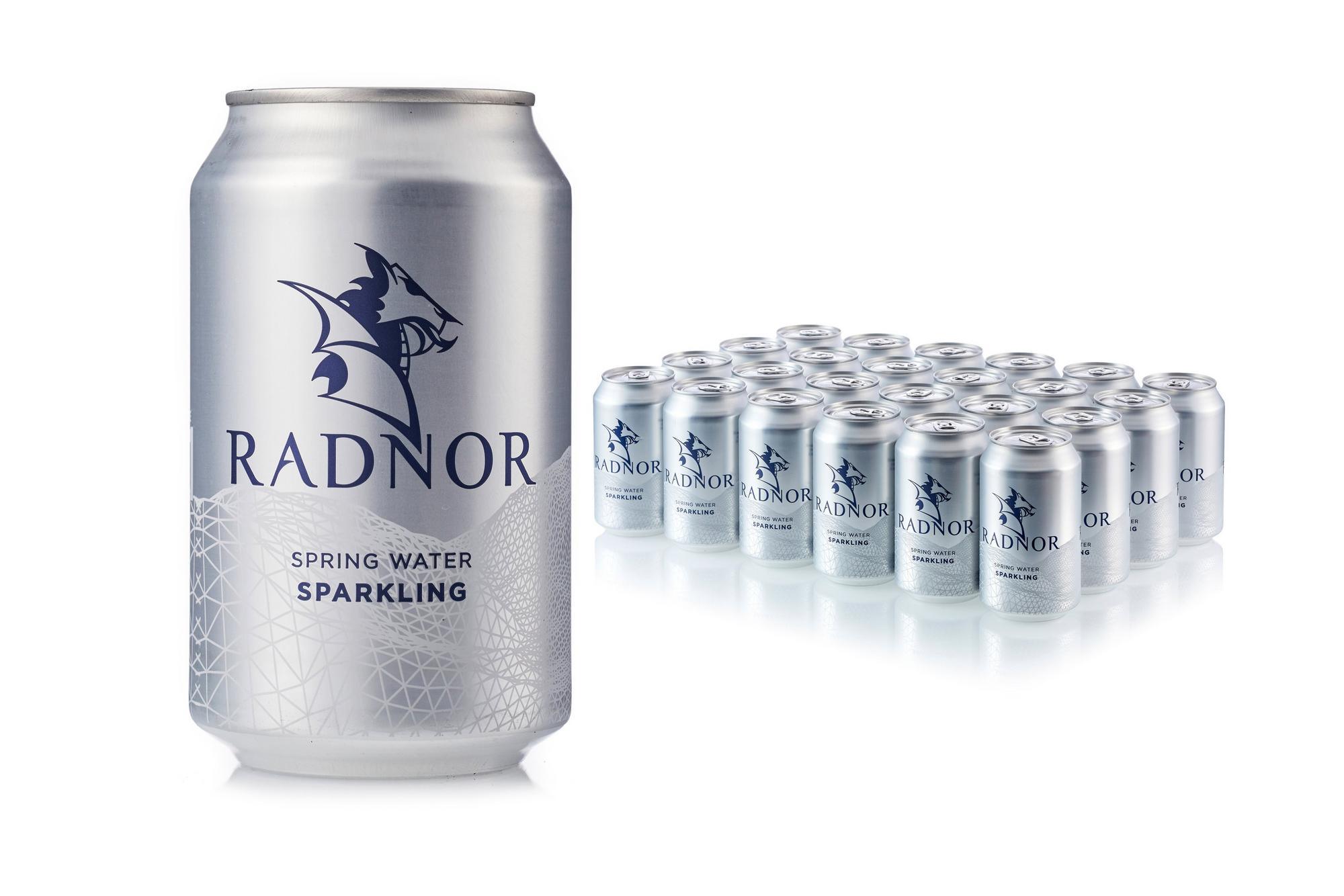 Radnor Spring Water Sparking 330ml Can (Pack of 24) - Vending Superstore