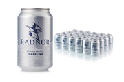 Radnor Spring Water Sparking - 330ml (Pack of 24)