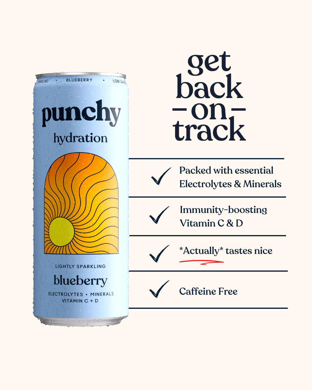 Punchy Hydration Blueberry - 330ml (Pack of 12)