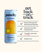 Punchy Hydration Blueberry - 330ml (Pack of 12)