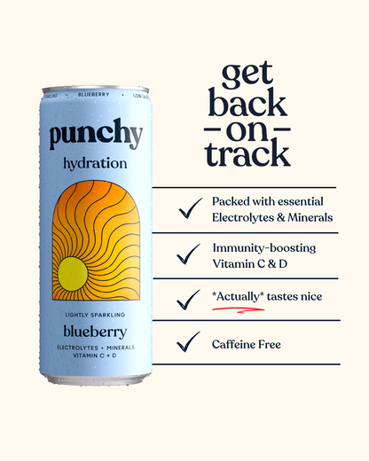 Punchy Hydration Blueberry - 330ml (Pack of 12)