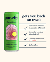 Punchy Hydration Mexican Lime - 330ml (Pack of 12)