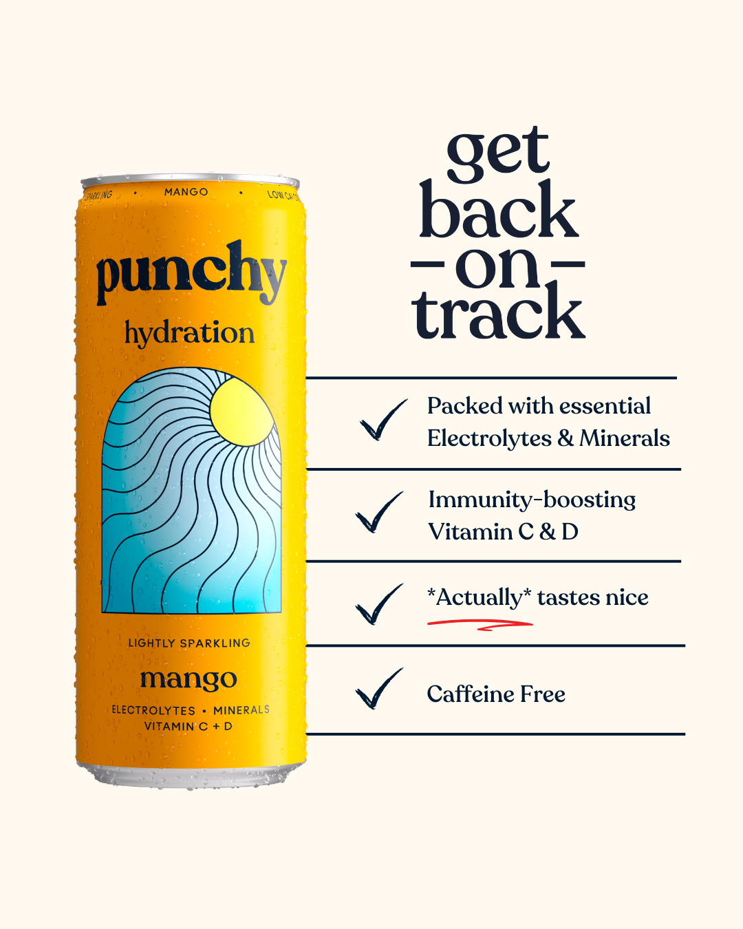 Punchy Hydration Mango - 330ml (Pack of 12)