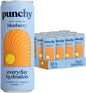 Punchy Hydration Blueberry - 330ml (Pack of 12)