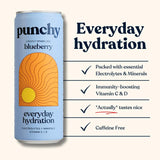 Punchy Hydration Blueberry - 330ml (Pack of 12)