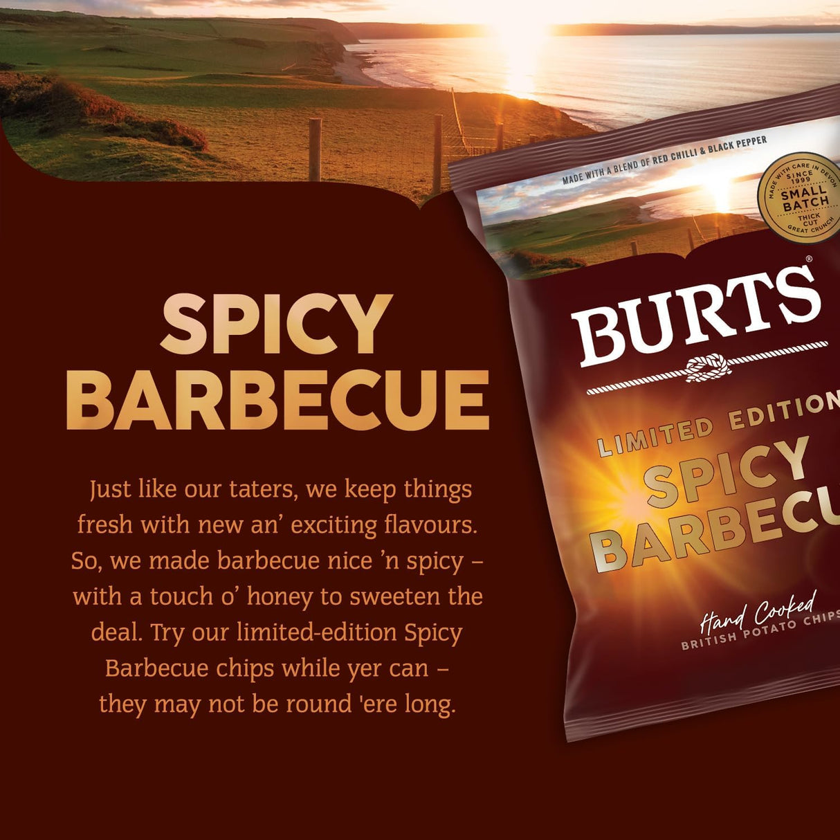 Burts Limited Edition Spicy Barbecue Crisps - 40g (Box of 20)