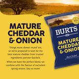 Burts Mature Cheddar And Spring Onion Crisps - 40g (Box of 20)