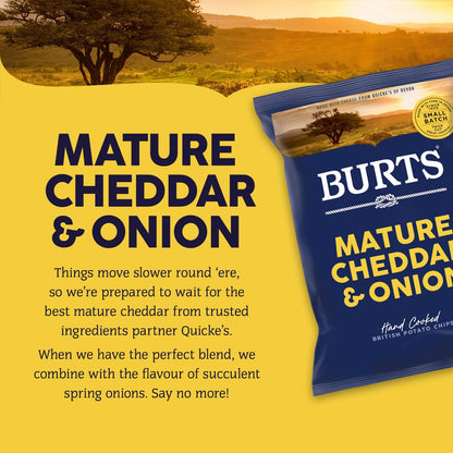 Burts Mature Cheddar And Spring Onion Crisps - 40g (Box of 20) BEST BEFORE - 23/10/25