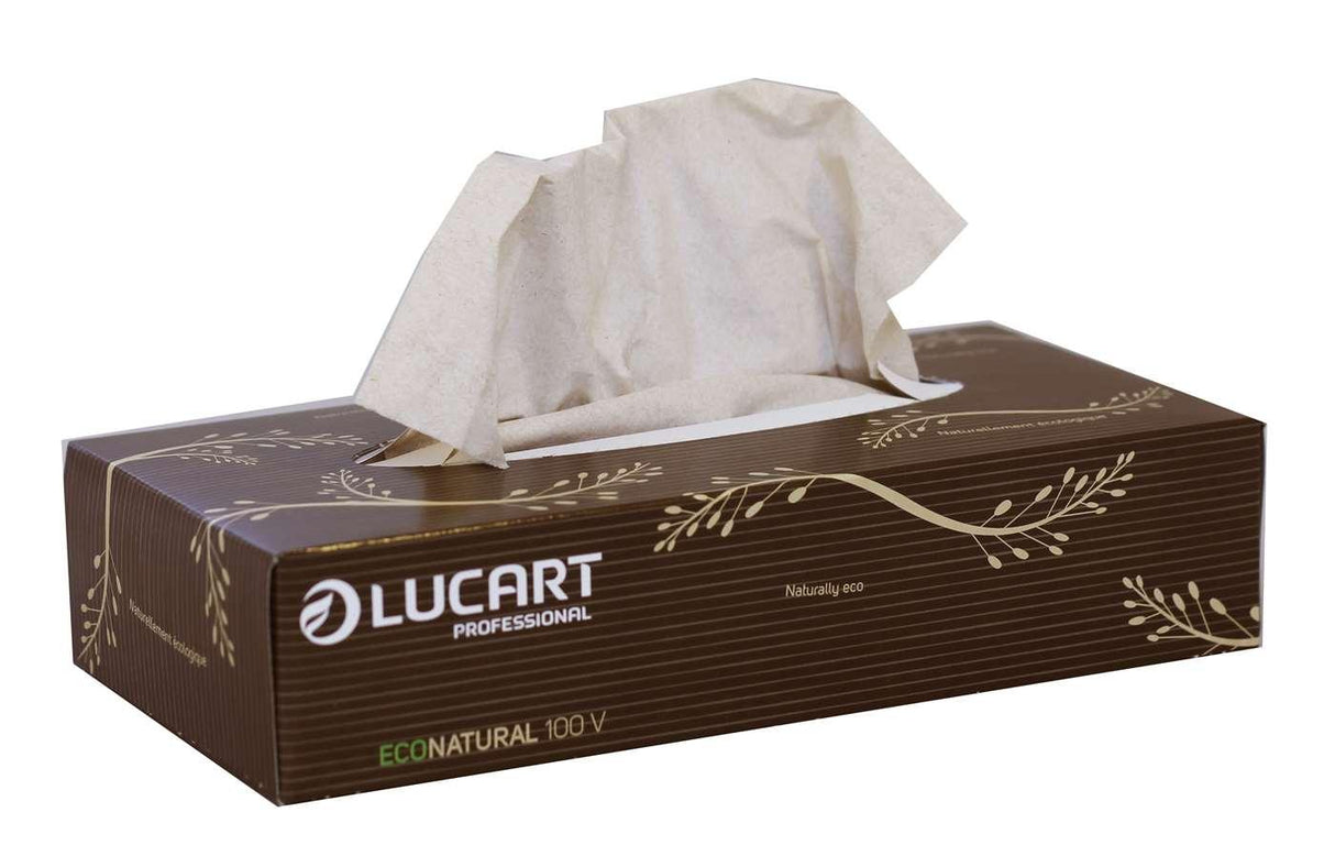 Lucart Professional Eco Natural 2ply Facial Tissues - 21x20cm - (Case of 40) - Vending Superstore