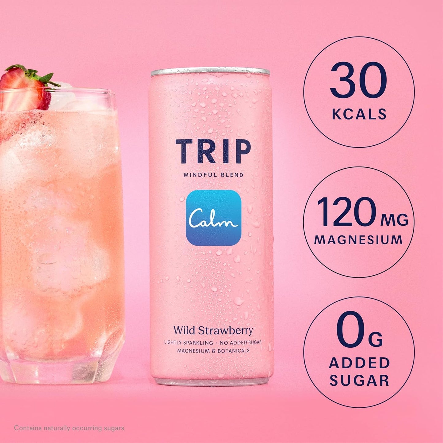 TRIP Mindful Wild Strawberry Can 250ml - Case of 12