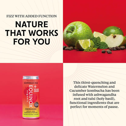 Equinox Organic Apple Lime Guarana and Matcha Kombucha Energy Drink 250ml - Case of 12