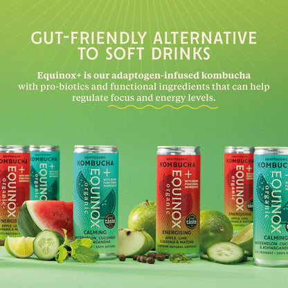 Equinox Organic Apple Lime Guarana and Matcha Kombucha Energy Drink 250ml - Case of 12