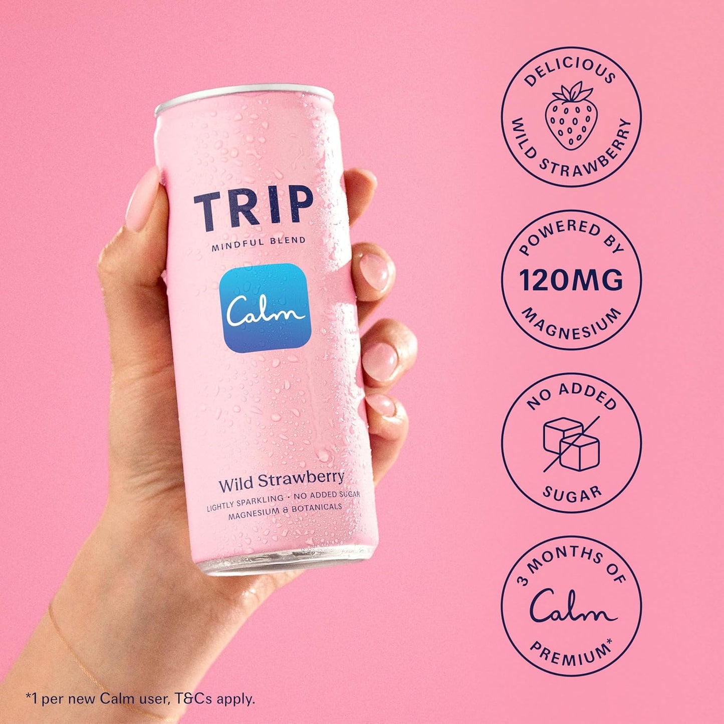 TRIP Mindful Wild Strawberry Can 250ml - Case of 12