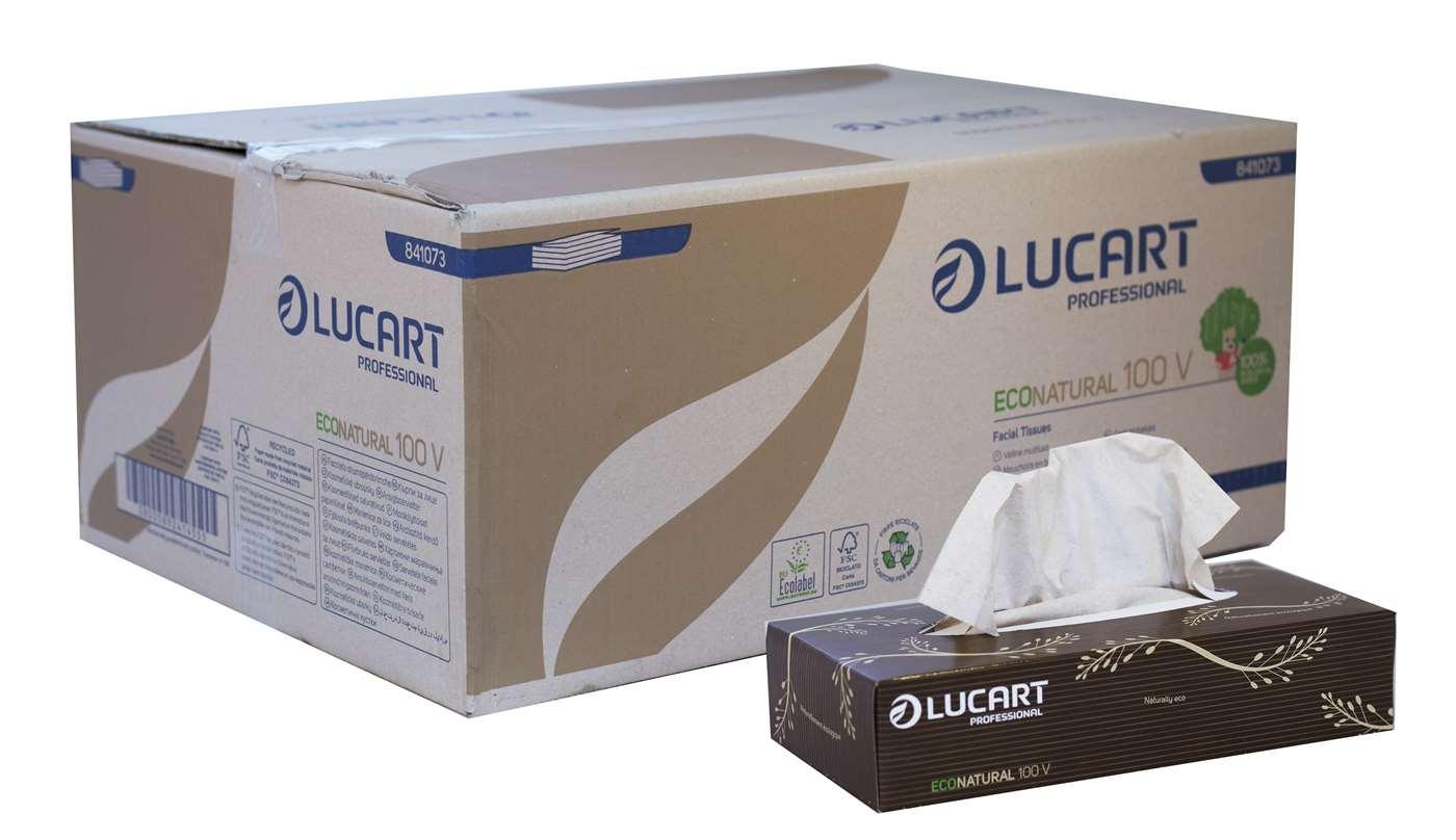 Lucart Professional Eco Natural 2ply Facial Tissues - 21x20cm - (Case of 40) - Vending Superstore