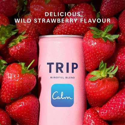 TRIP Mindful Wild Strawberry Can 250ml - Case of 12