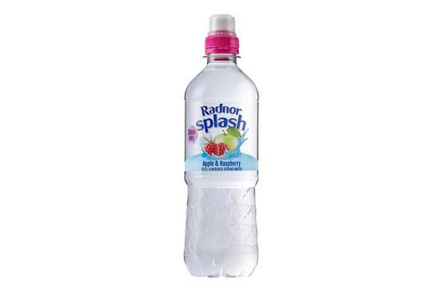 Radnor Splash Apple & Raspberry Sugar Free Flavoured Water - 500ml (Pack of 24)