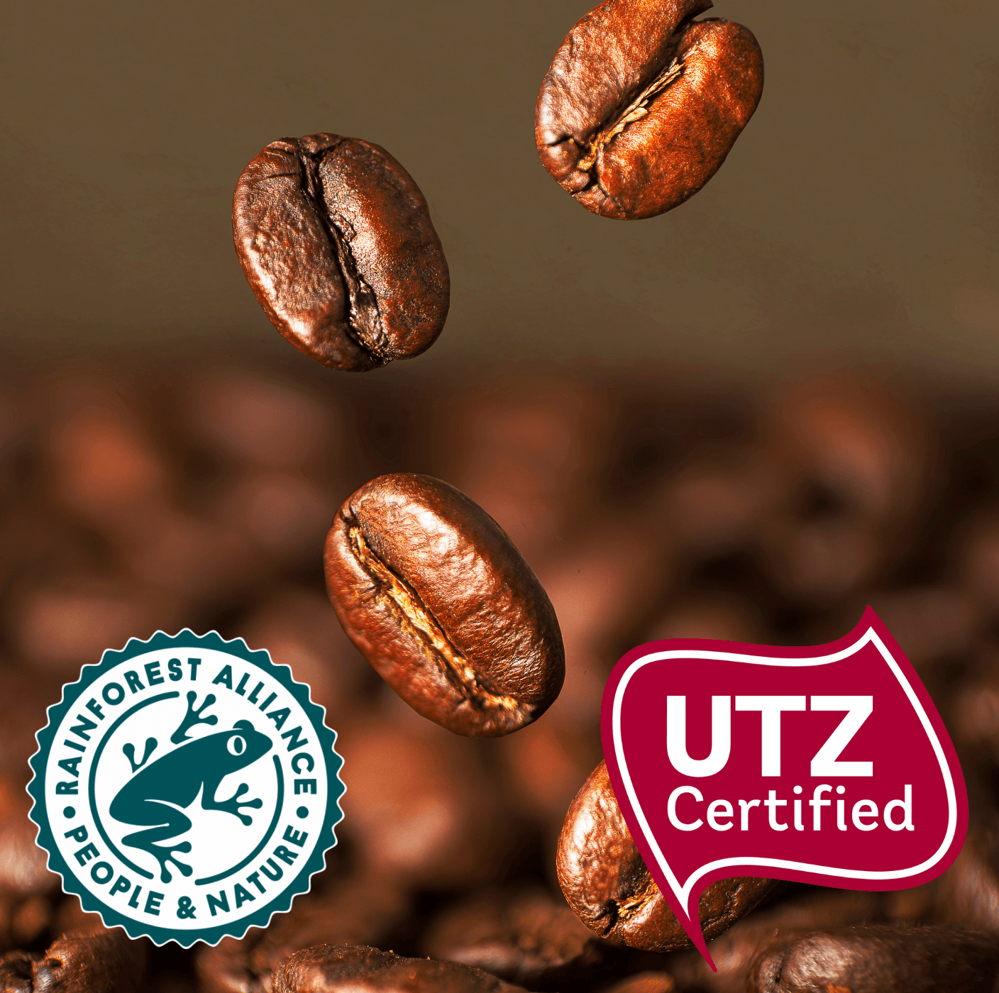 Lavazza ¡Tierra! Bio-Organic Intense Coffee Beans (1kg Bags or Full Case) Rainforest Alliance & Organic - Vending Superstore