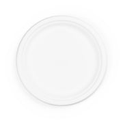 9" Bagasse Biodegradable Strong Paper Plate Round (125 Pack)