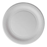 White Paper Disposable Plates 23cm - 100s
